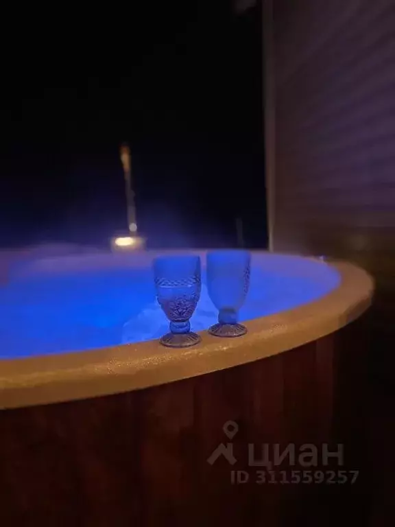 Дом в Новгородская область, Батецкий муниципальный округ, Раглицы СОТ  ... - Фото 0