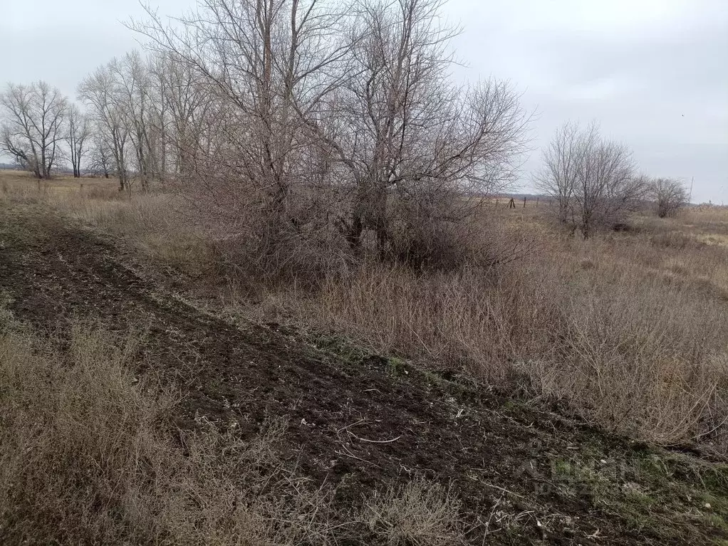 Участок в Волгоградская область, Среднеахтубинский район, Фрунзенское ... - Фото 2