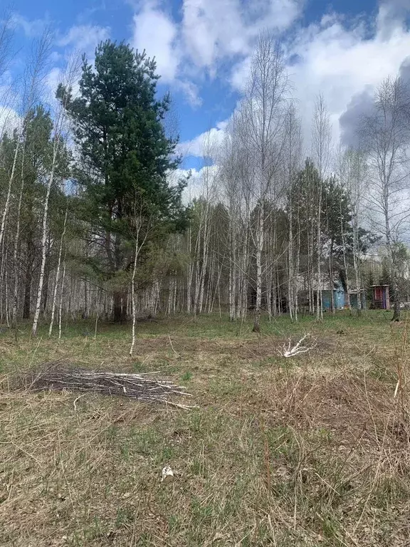Участок 10 сот. (СНТ, ДНП) - Фото 1