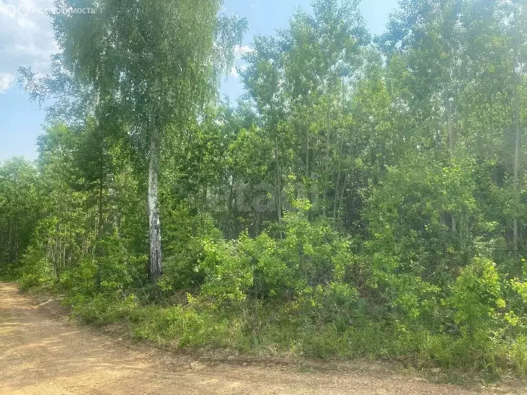 Участок в Иркутский муниципальный округ, деревня Новолисиха, посёлок ... - Фото 1