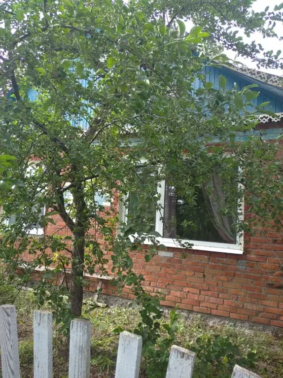 Дом в Омская область, Азовский Немецкий Национальный район, с. Пришиб ... - Фото 0
