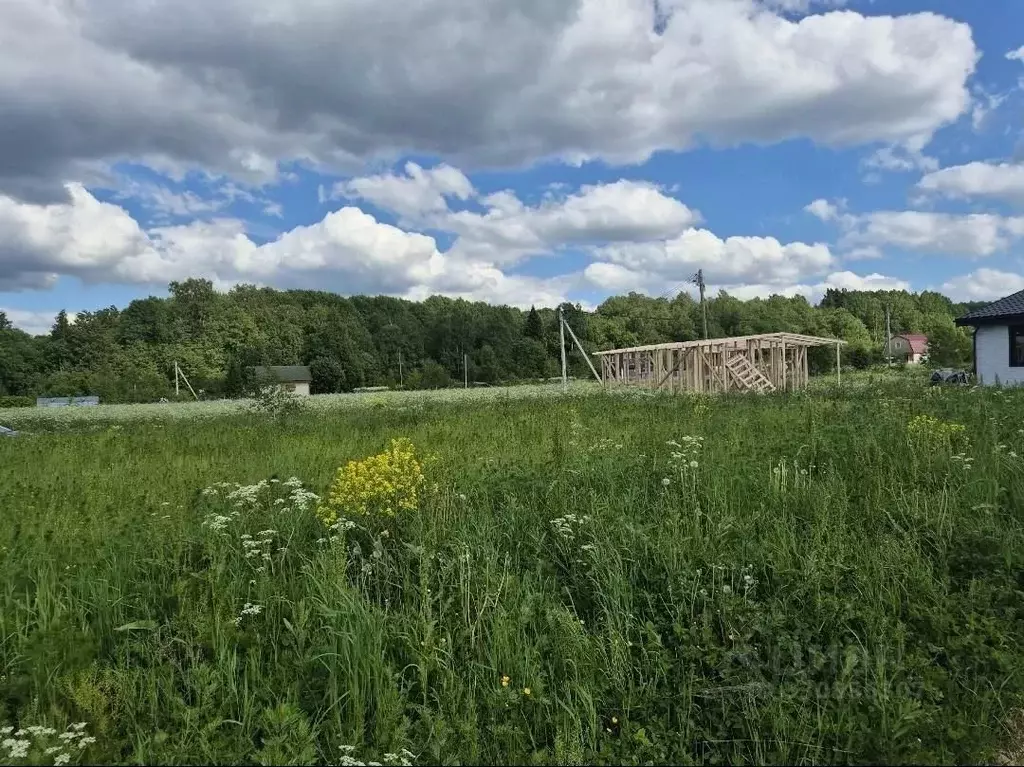 Участок в Ленинградская область, Ломоносовский район, Лопухинское ... - Фото 2