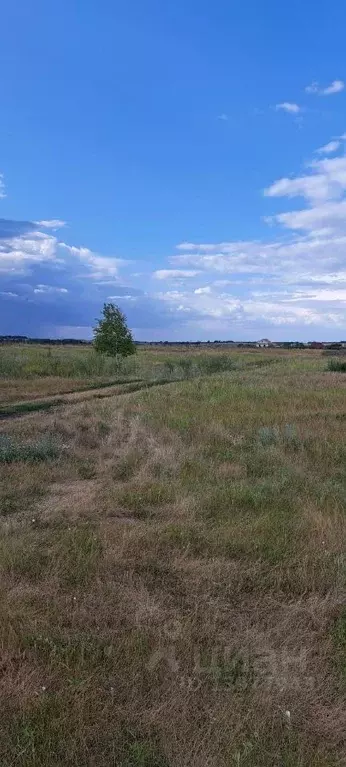 Участок в Челябинская область, Красноармейский район, д. Сычево  (15.0 ... - Фото 1