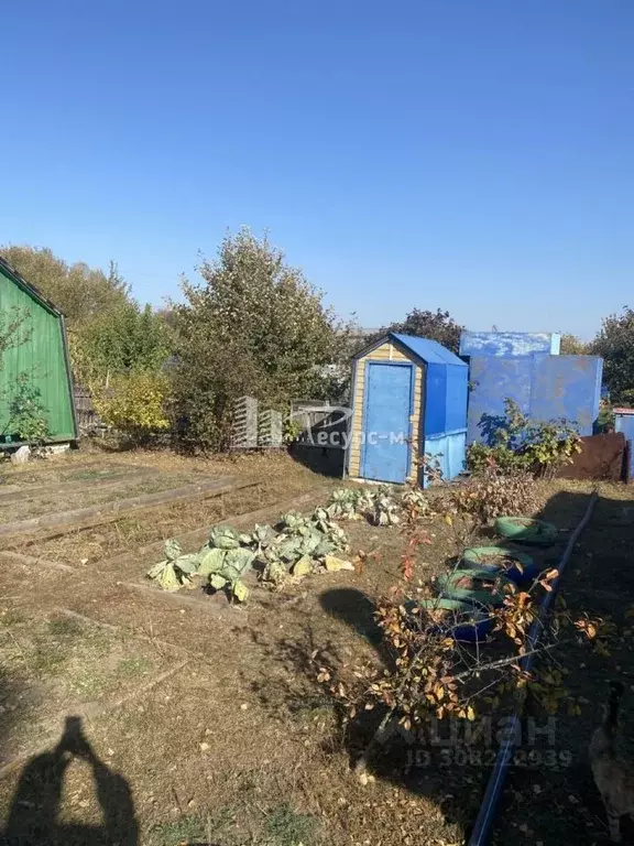 Дом в Нижегородская область, Выкса городской округ, Досчатое рп  (19 ... - Фото 1