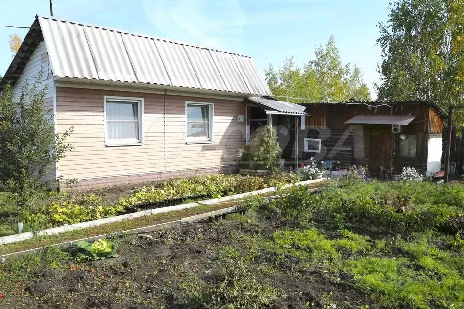 Дом в Курганская область, Кетовский муниципальный округ, с. Лесниково, ... - Фото 1