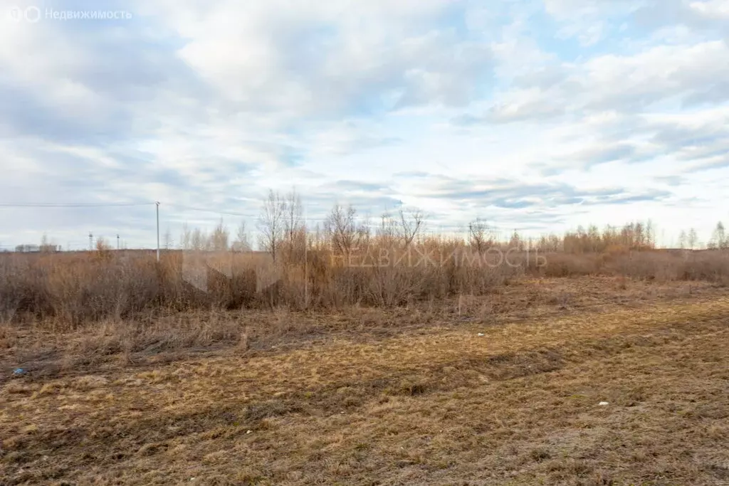Участок в Тюменский муниципальный округ, село Щербак (78 м) - Фото 2