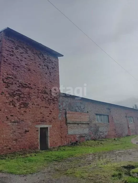 Склад в Псковская область, Печоры ул. Мелиораторов, 11 (446 м) - Фото 2