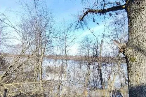 Дом в Новгородская область, Новгородский район, Бронницкое с/пос, с. ... - Фото 2