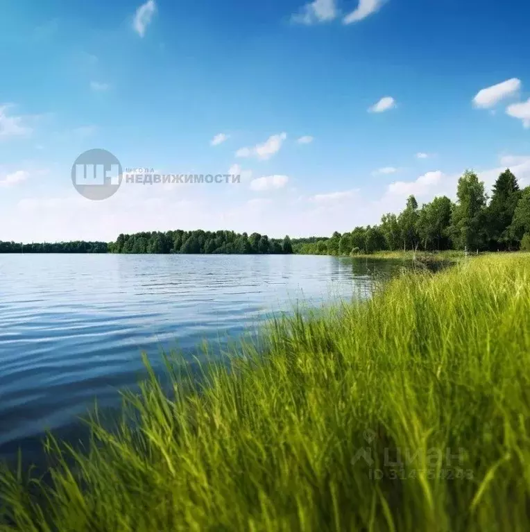 Участок в Ленинградская область, Всеволожский район, Куйвозовское ... - Фото 1