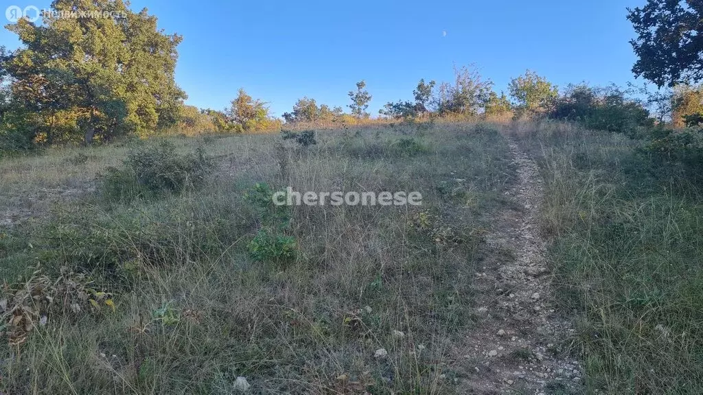 Участок в Севастополь, улица Челюскинцев (7.5 м) - Фото 1