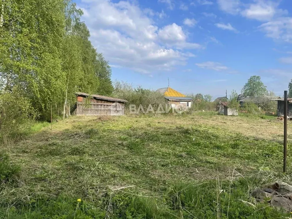 Участок в Ярославская область, Рыбинский муниципальный округ, д. ... - Фото 2