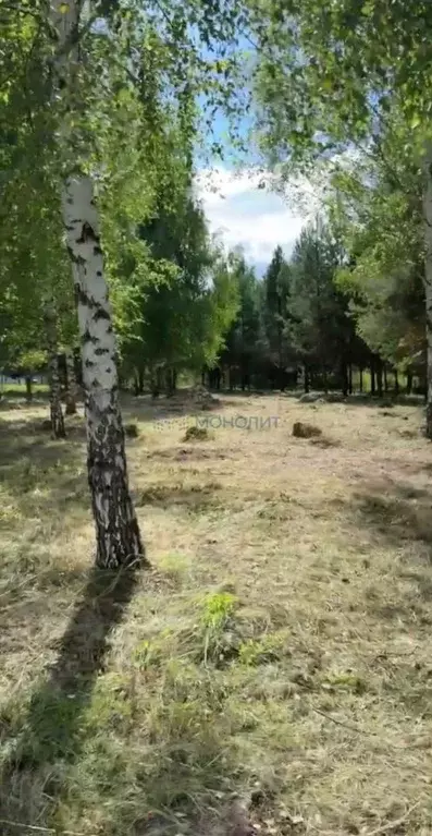 Участок в Нижегородская область, Дальнеконстантиновский муниципальный ... - Фото 2