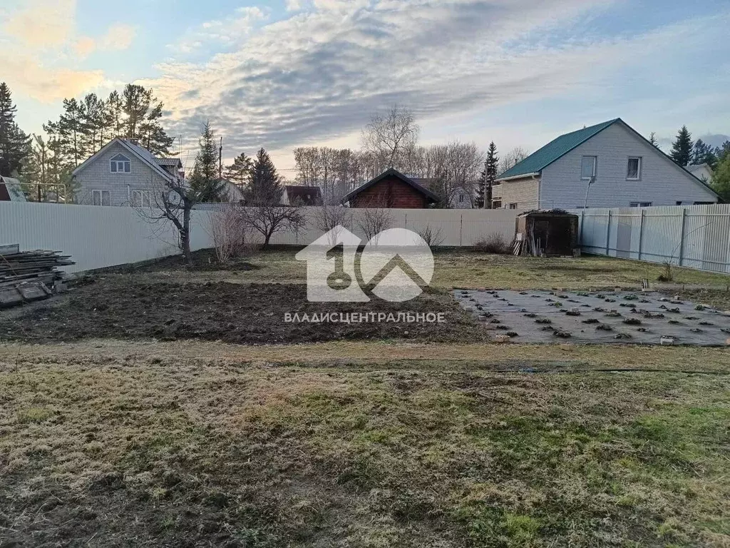 Участок в Новосибирская область, Новосибирск Садовод садовое ... - Фото 1