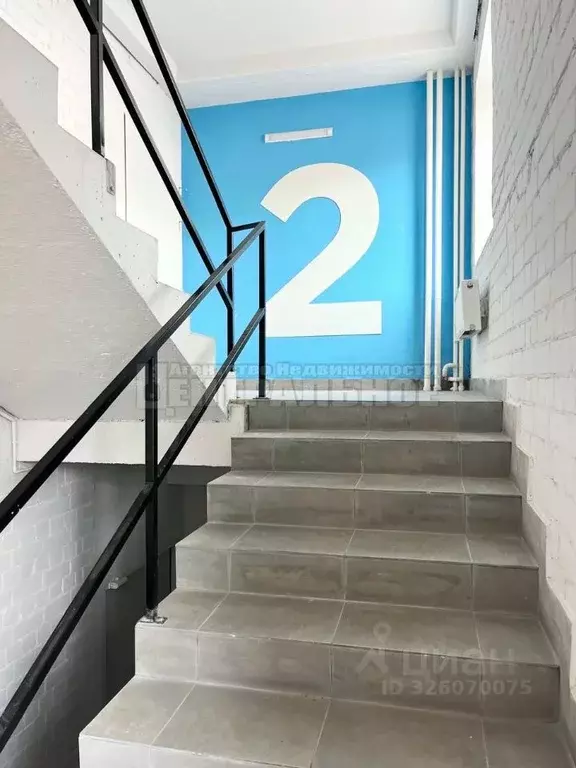 Студия Смоленская область, Смоленск проезд Маршала Конева, 32 (19.6 м) - Фото 2