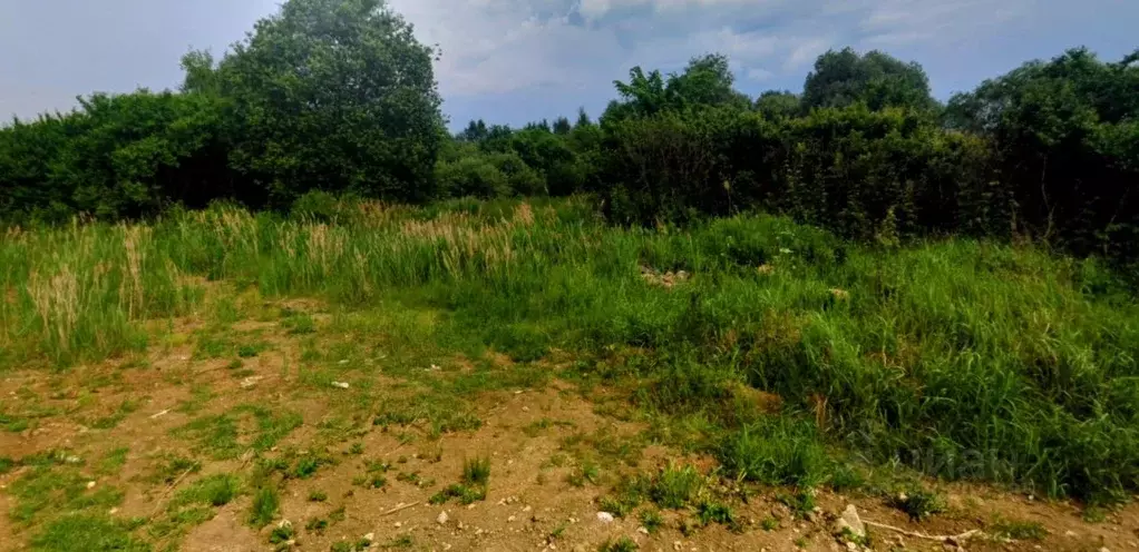 Участок в Москва Марушкинское поселение, д. Крекшино, Крекшино лайф ... - Фото 2