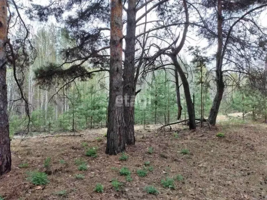 Участок в Тюменская область, Тюменский район, Архитектор СНТ ул. ... - Фото 0