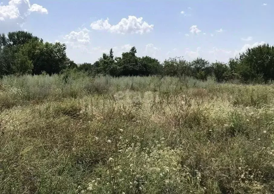 Участок в Ростовская область, Аксайский район, Мишкинская ст-ца  (12.0 ... - Фото 1