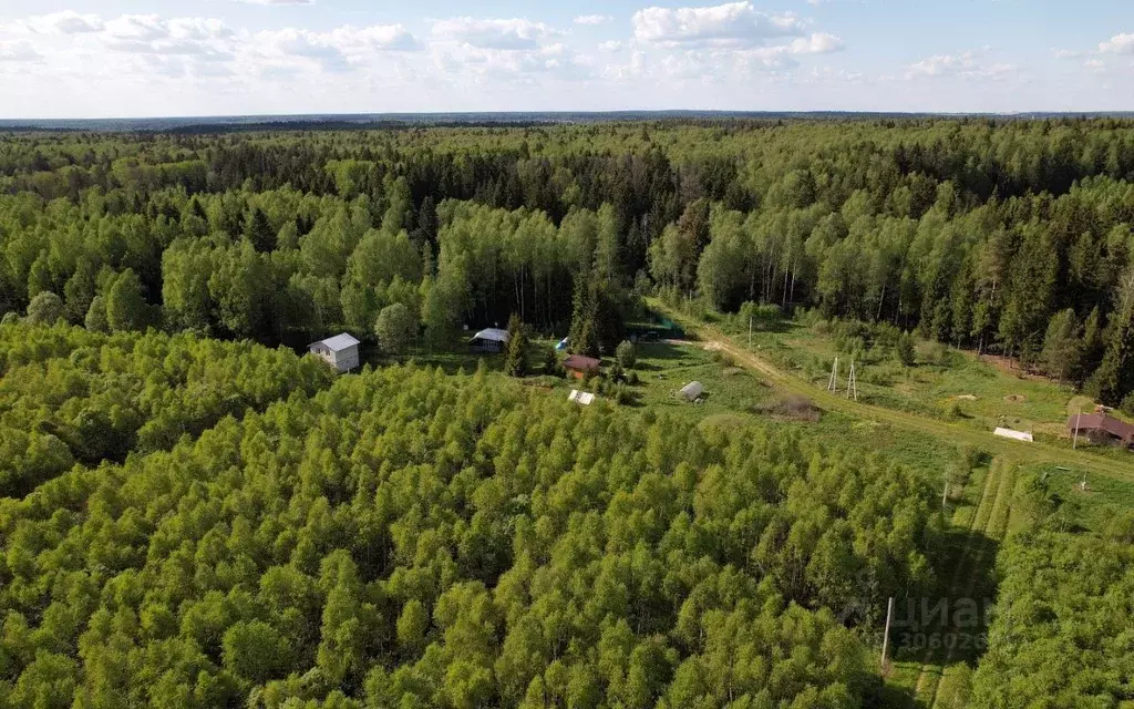 Участок в Московская область, Можайский городской округ, Лесные ... - Фото 1