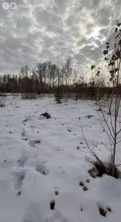 Участок в Кубовинский сельсовет, коттеджный посёлок Шервуд, Ореховая ... - Фото 2