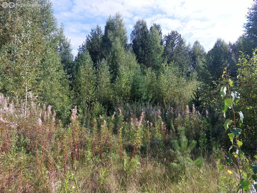 Участок в Свердловская область, муниципальное образование ... - Фото 2