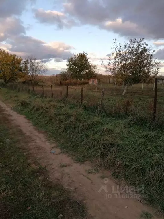 Участок в Краснодарский край, Темрюк ул. Гагарина (5.0 сот.) - Фото 1