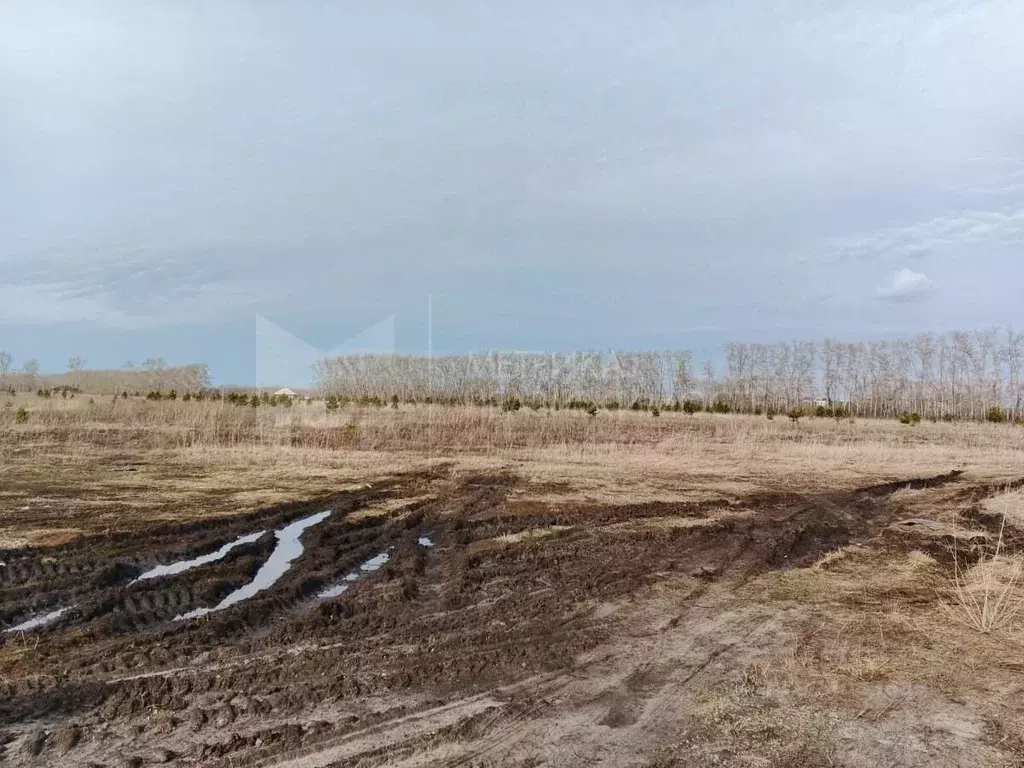 Участок в Тюменская область, Тюмень  (7.0 сот.) - Фото 2