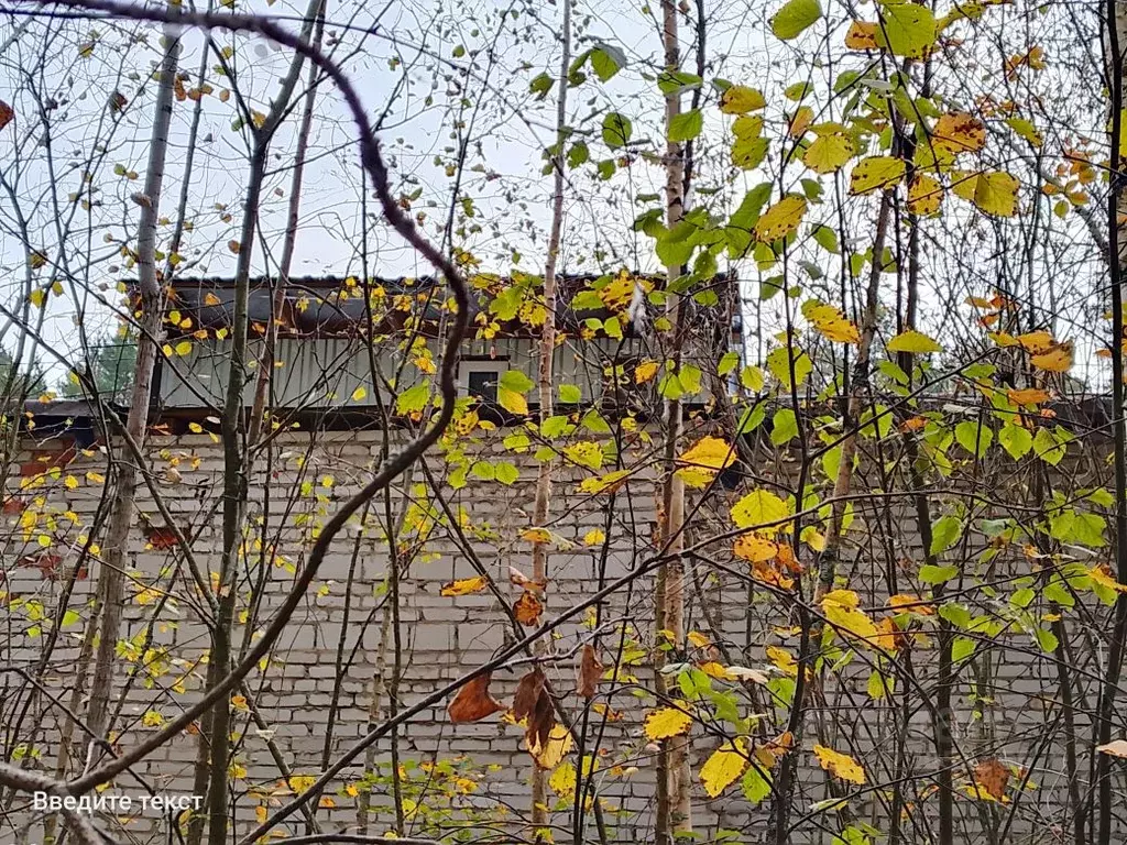 Гараж в Ленинградская область, Гатчинский муниципальный округ, Вырица ... - Фото 2