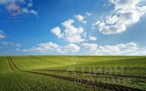 Участок в Крым, Ленинский район, с. Останино  (42.0 сот.) - Фото 0