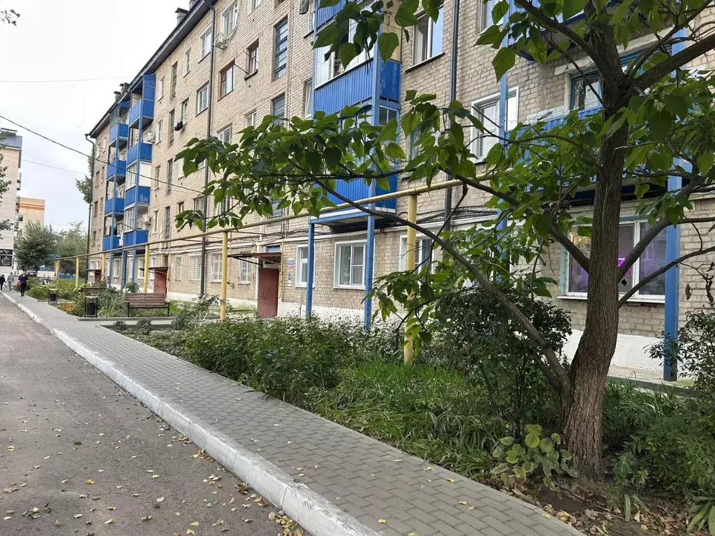 2-к кв. Воронежская область, Россошь ул. Алексеева, 30 (44.9 м) - Фото 1