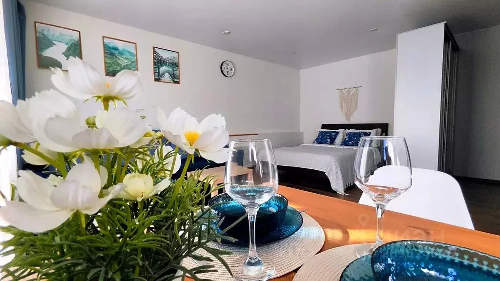 Студия Карелия, Сортавала ул. Вяйнемяйнена, 8 (31.0 м) - Фото 2