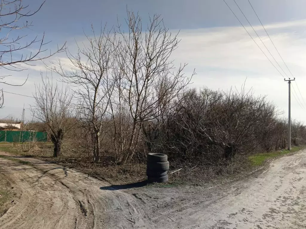 Участок в Краснодарский край, Ейское городское поселение, пос. ... - Фото 1