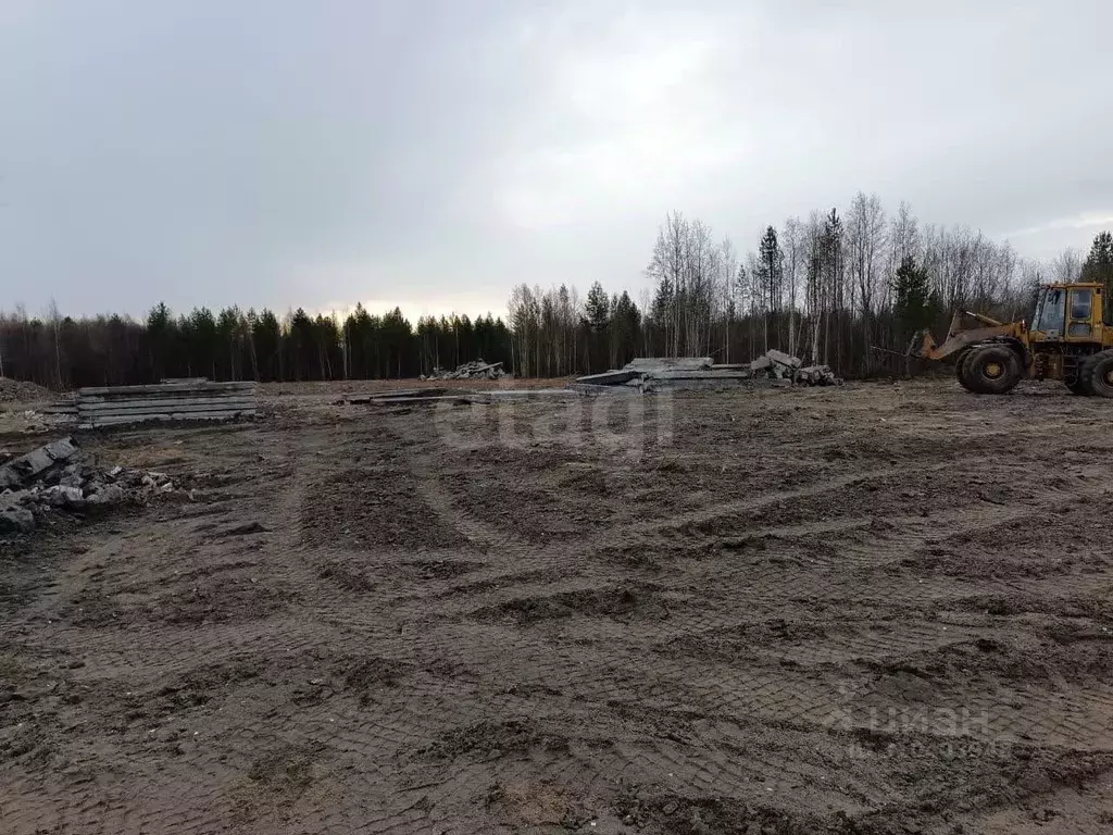Участок в Архангельская область, Новодвинск  (305.0 сот.) - Фото 1