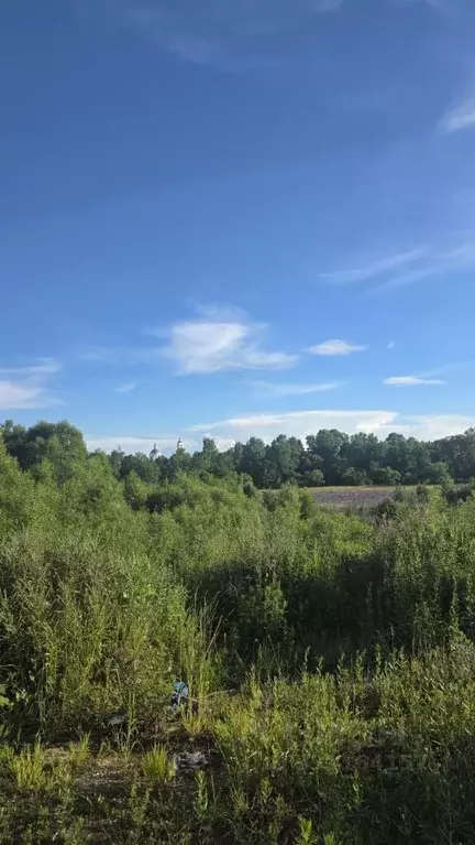 Участок в Владимирская область, Покров городской округ, д. Еськино ул. ... - Фото 2