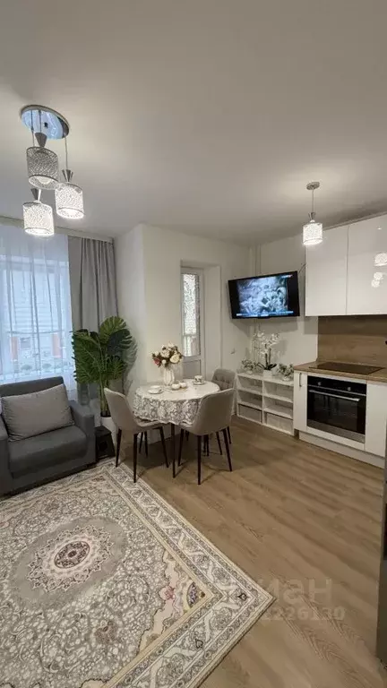 Студия Санкт-Петербург ул. Гудиловская, 6к1 (24.0 м) - Фото 1