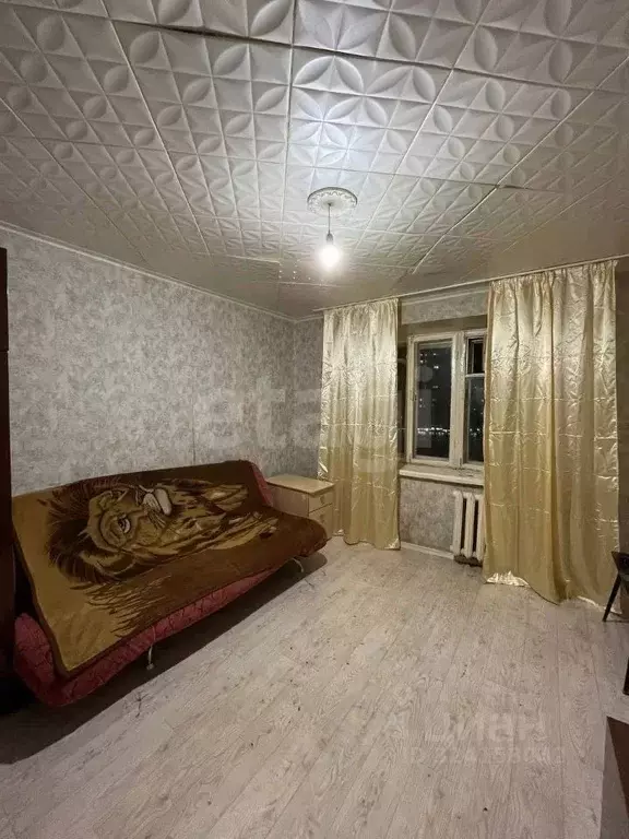 Комната Пермский край, Пермь ул. Емельяна Ярославского, 10/2 (14.0 м) - Фото 1