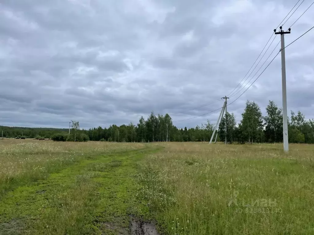 Участок в Челябинская область, Аргаяшский муниципальный округ, пос. ... - Фото 2