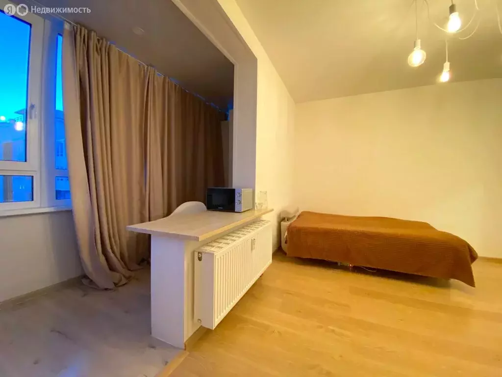 Квартира-студия: Санкт-Петербург, Арцеуловская аллея, 23к1 (25.2 м) - Фото 1