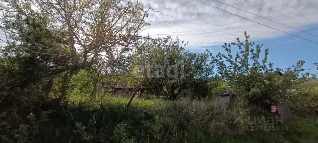 Участок в Краснодарский край, Анапа муниципальный округ, с. Бужор ул. ... - Фото 2