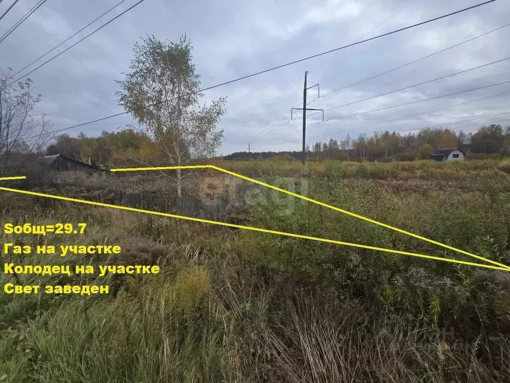 Участок в Брянская область, Брянский район, Нетьинское с/пос, д. ... - Фото 2