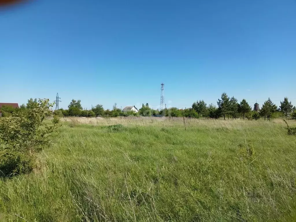 Участок в Воронежская область, Борисоглебский городской округ, с. ... - Фото 1