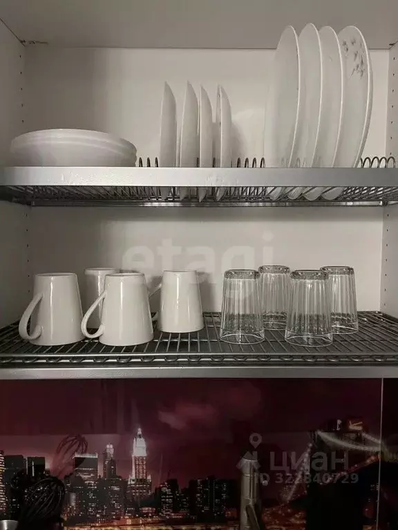 1-к кв. Новосибирская область, Новосибирск ул. Романова, 39 (55.0 м) - Фото 2