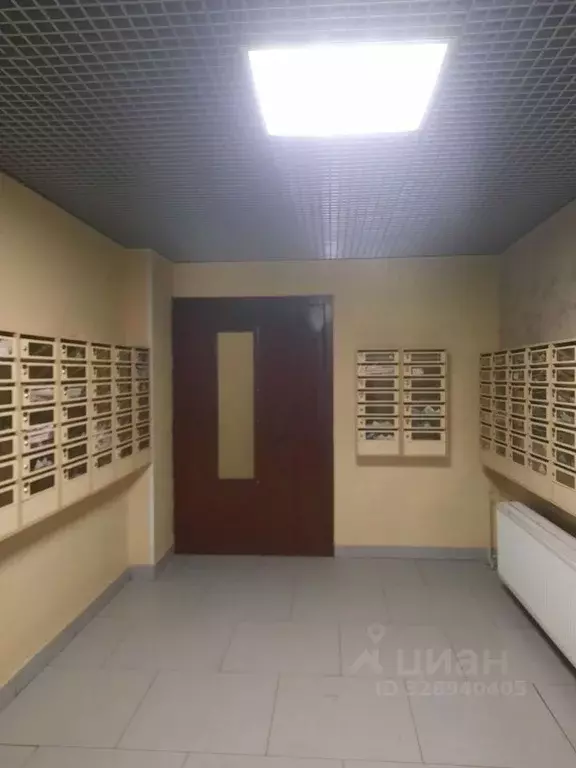 Студия Санкт-Петербург дор. Кушелевская, 7к6 (25.6 м) - Фото 2