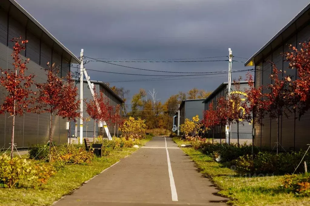 Склад в Воронежская область, Новоусманский район, с. Бабяково ул. ... - Фото 2