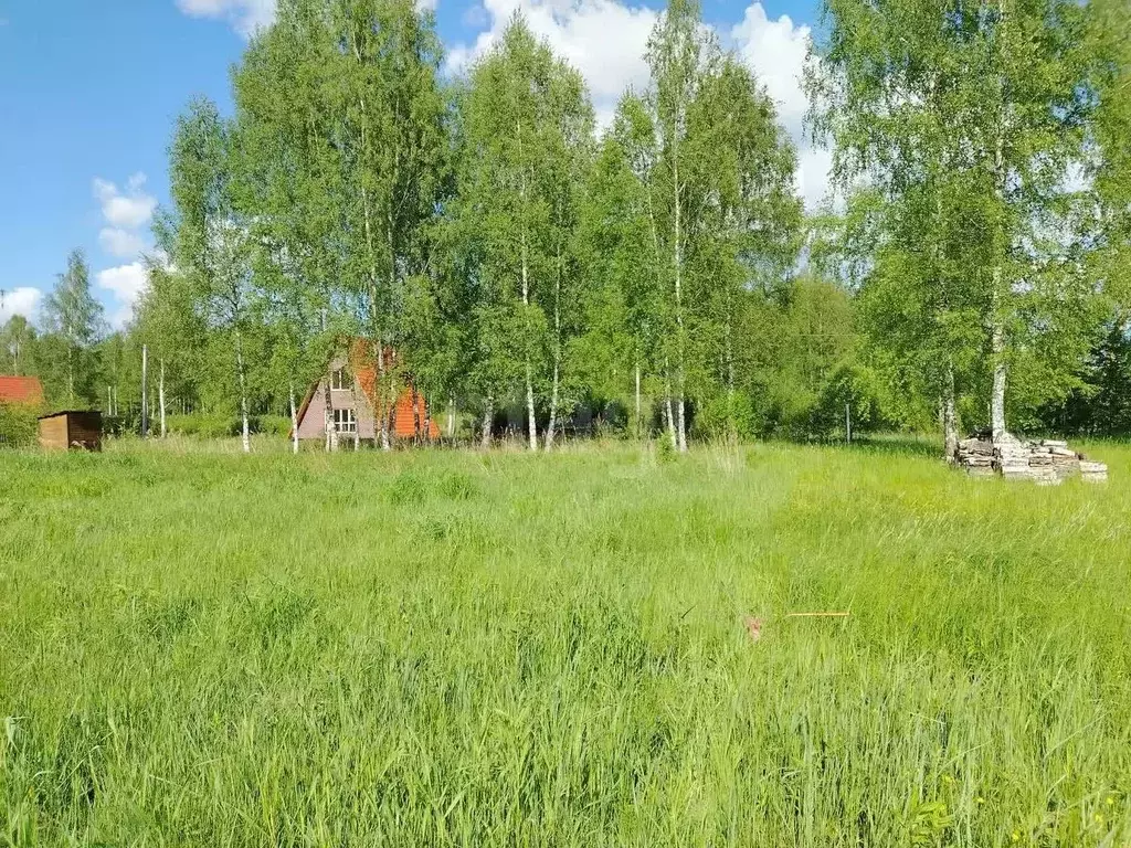 Участок в Ярославская область, Некрасовский муниципальный округ, ... - Фото 0