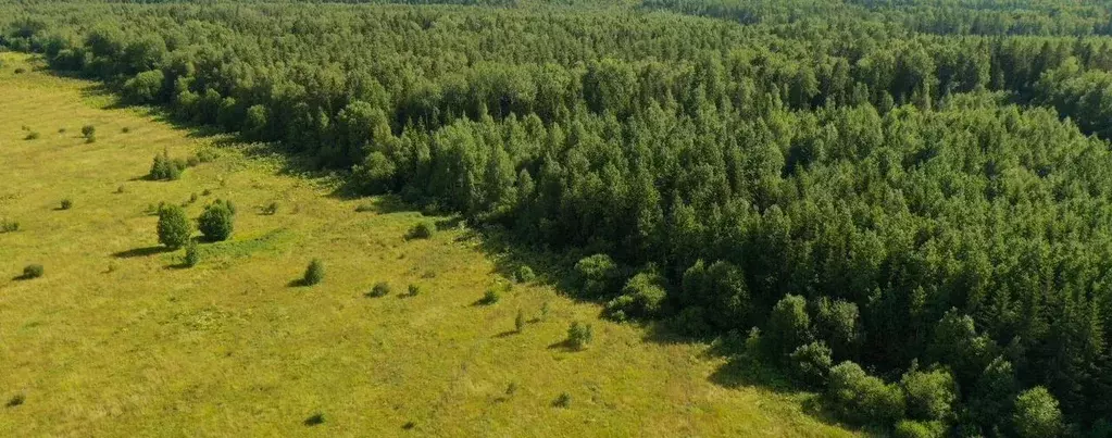 Участок в Ленинградская область, Тосненский район, Федоровское ... - Фото 2
