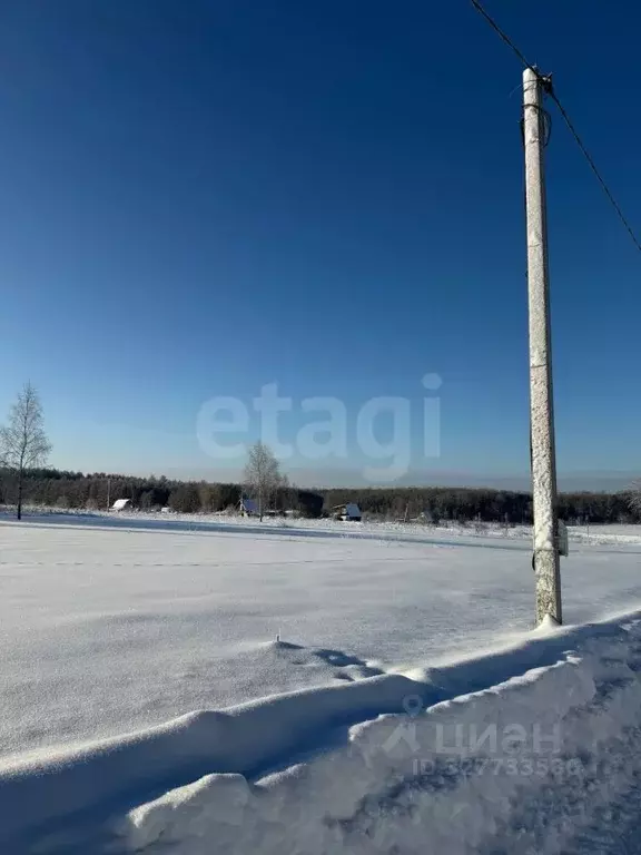Участок в Тульская область, Тула городской округ, д. Погромное ул. ... - Фото 1