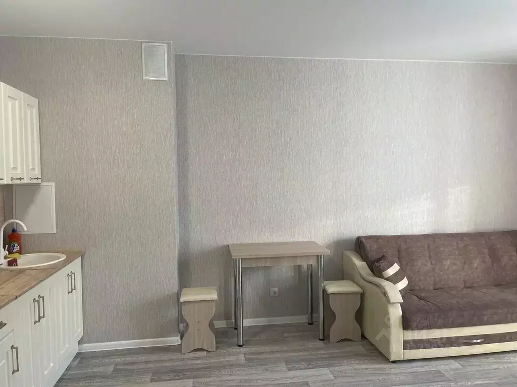 Студия Новосибирская область, Новосибирский район, Станционный ... - Фото 2