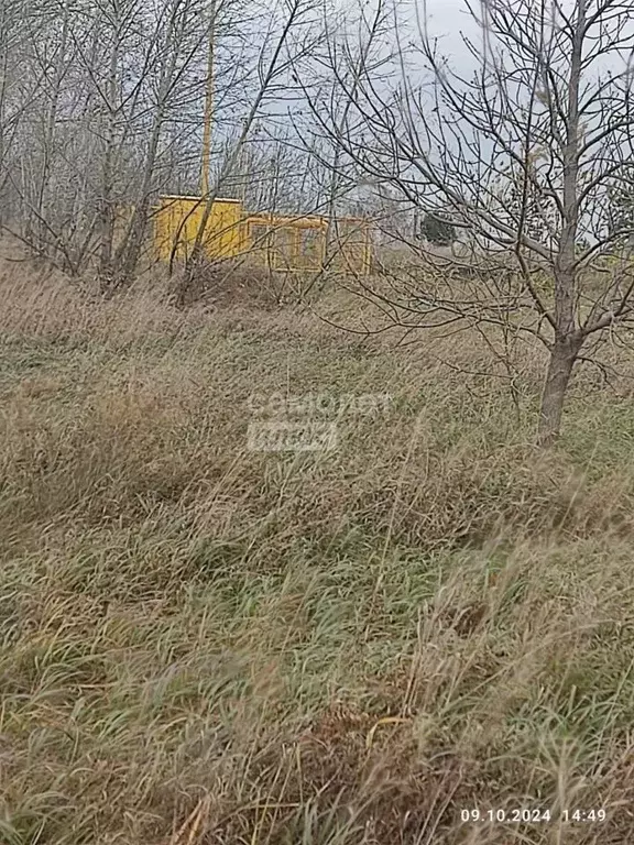 Участок в Алтайский край, Первомайский район, пос. Новый ул. ... - Фото 1