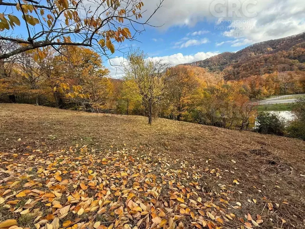 Участок в Краснодарский край, Сочи городской округ, с. Сергей-Поле ... - Фото 2