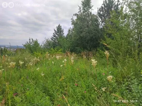 Участок в Саяногорск, улица Мичурина (12 м) - Фото 0